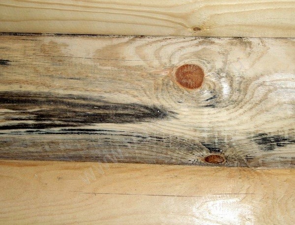 Поверхность деревянного пола, пораженная грибком