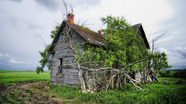 Старый деревянный дом в поле