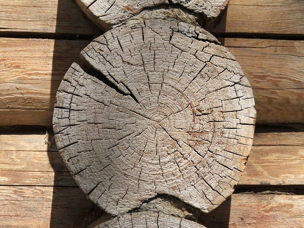 Потрескавшиеся торцы деревянного дома