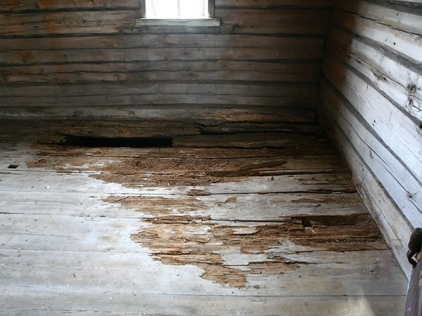 Прогнивший деревянный пол в бане