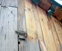 Отбеливание древесины — эффективный способ борьбы с «древесной синью»