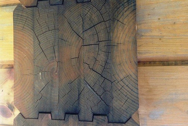 Не стоит пренебрегать средствами обработки древесины