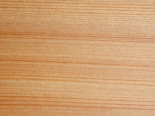 Текстура древесины лиственницы