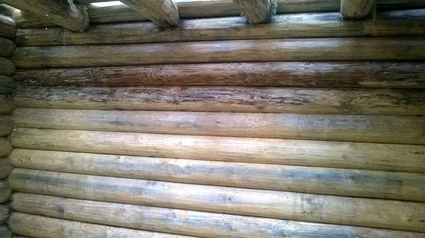 На фото – потемневшая древесина