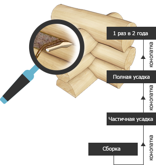 Инфографика - Как проводить конопатку деревянных стен? - изображение 1